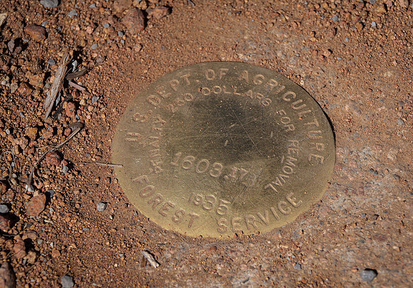 Forest Service Marker