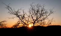 Sun is now on Daylight  Savings Time