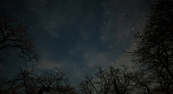 Ursa Major & Polaris