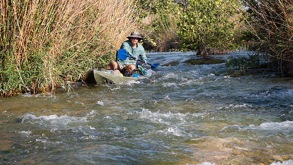 Peter Skimming the Canes