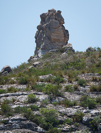 Godzilla Rock