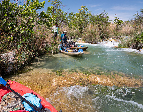 Jacinto & Rebekah Lining Yaks