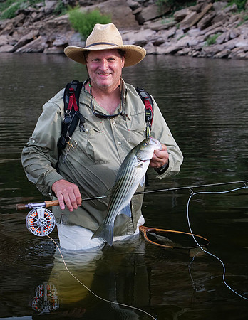 Striper on the Fly