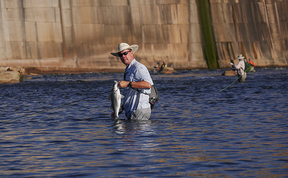Fly Angler with Striper below Possum Kingdom Dam