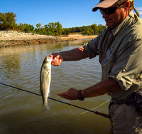 Striper on Clouser Minnow Fly bolow Texoma Dam