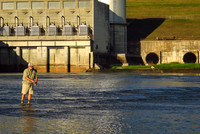 Fly Fishing for Stripers below the Lake Texoma Dam