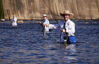 Striper on the Fly