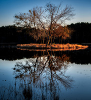 Island Reflection