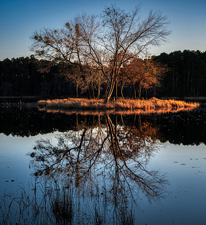 Island Reflection