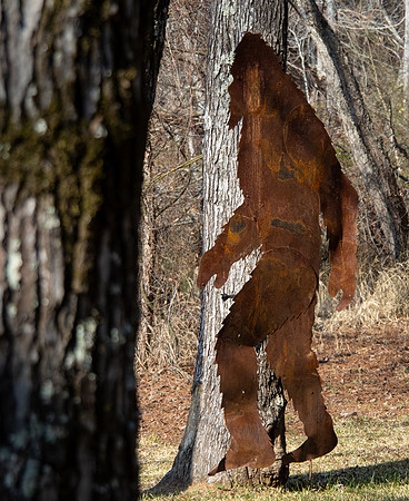 Sasquatch