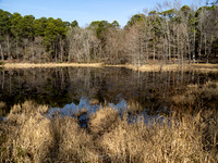 Little Pine Lake
