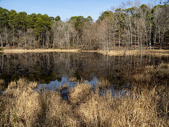 Little Pine Lake