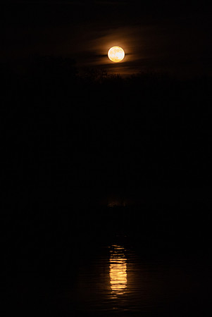 Moonrise Reflection