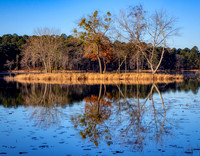 CCC Island Daingerfield SP TX