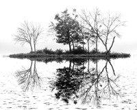 CCC Island B&W