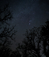Orion setting