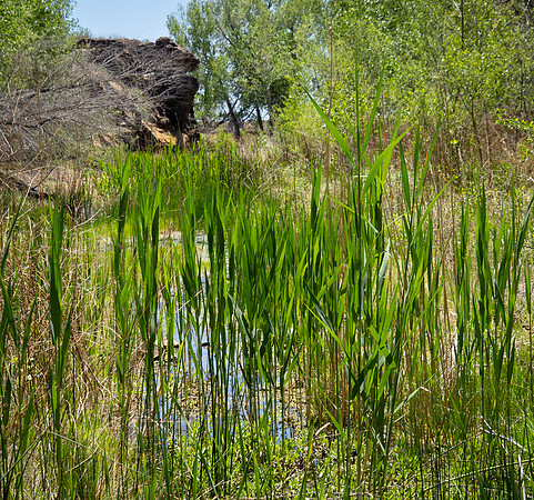 Copyright 2026 Mark Kolanowski