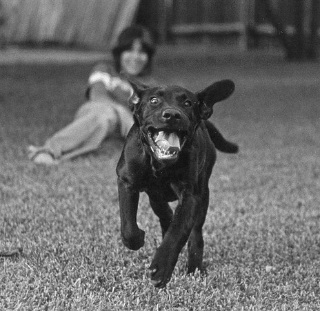 1st stop action assignment 1979