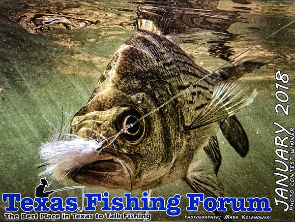 Texas Fishing Forum