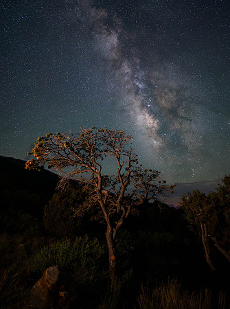Copyright 2025 Mark Kolanowski