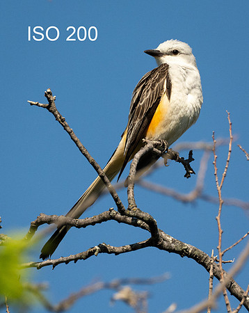 Copyright 2026 Mark Kolanowski