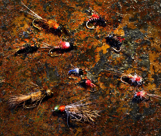 Tail Water Nymphs