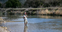 Wading Fly Angler on South Llano River TX
