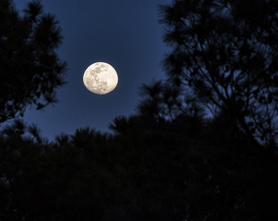 Moon Rise