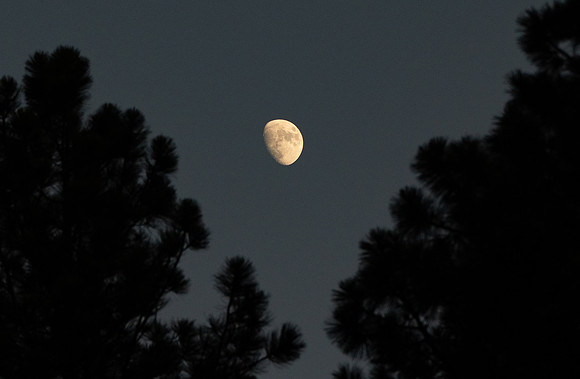 Copyright 2025 Mark Kolanowski