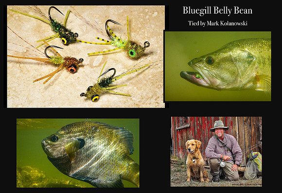Bluegill Belly Bean