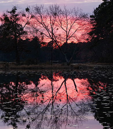 Fire in the Sky