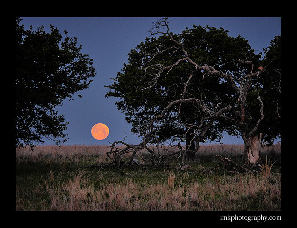 Moon Set Bowie TX