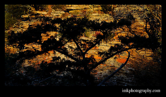 LMF Shadows