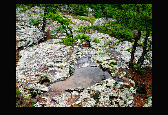 Turtle Rocks OK
