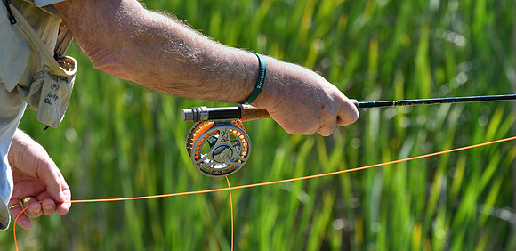 Reel Recovery