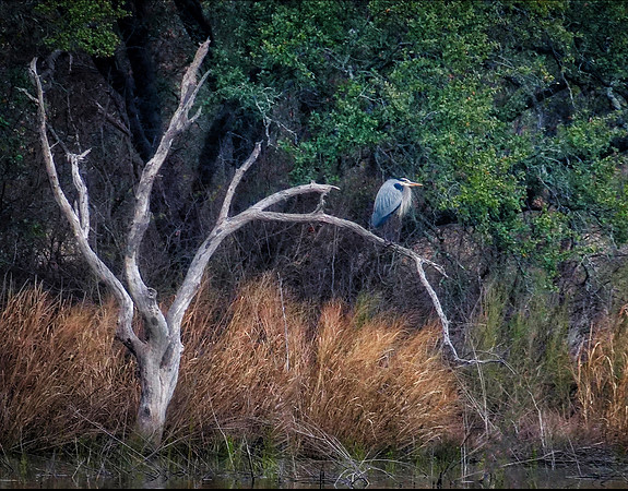 Brownwood SP TX