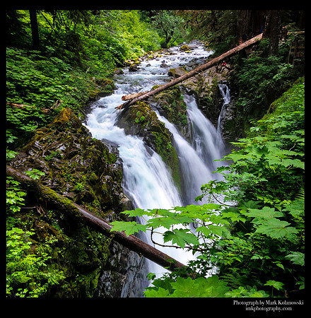Sol Duc Falls WA
