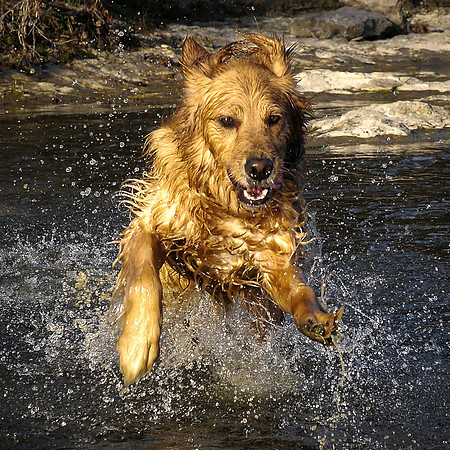 Lexi my fishing partner gets to play !