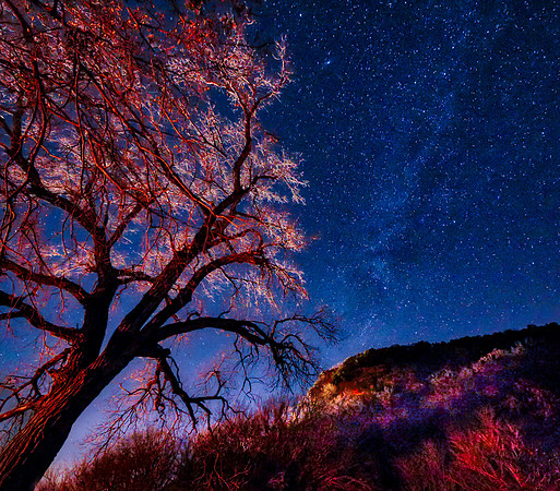 Stary Night Camping on the Brazos River