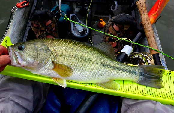 LMB