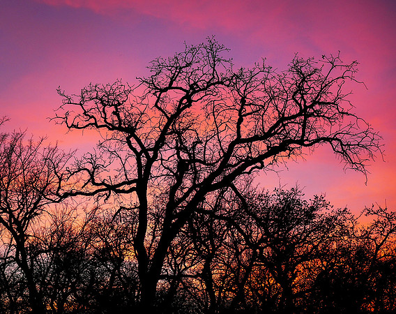 Sunset @ Lake Mineral Wells State Park