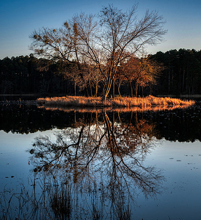Island Reflection Daingerfield SP TX