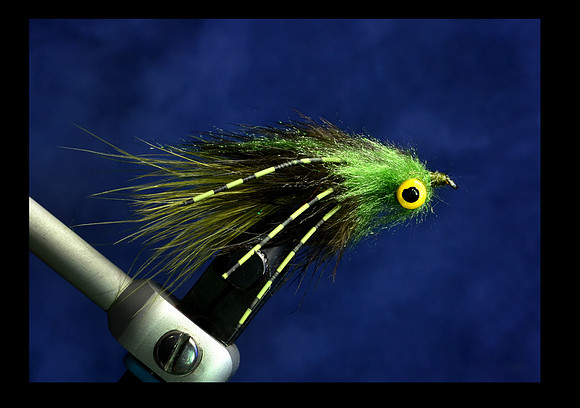 Craven's Gonga Fly