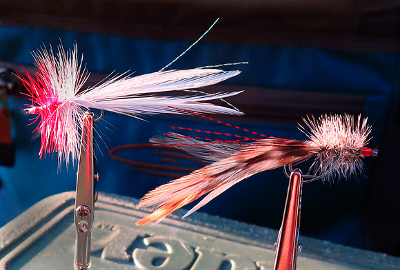 Seaducers