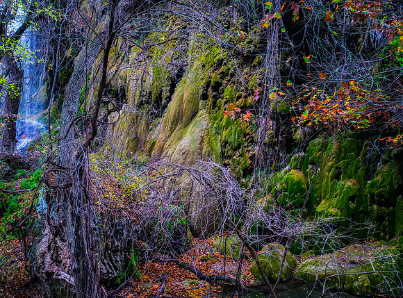 Gorman Falls Colorado Bend SP TX