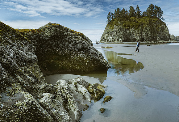Olympic NP Washington