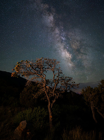 Copyright 2025 Mark Kolanowski