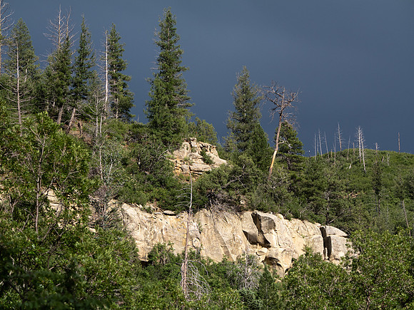 Copyright 2025 Mark Kolanowski