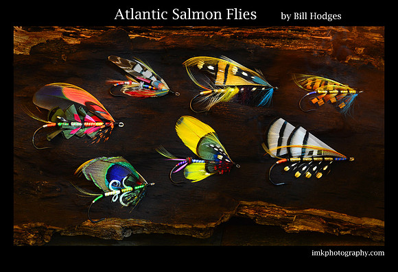 Atlantic Salmon Flies by Bill Hodges