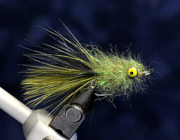 DDH Leech